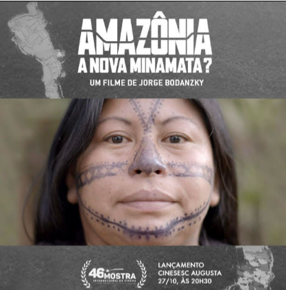 Films for Transparency - Amazonia: The New Minamata?